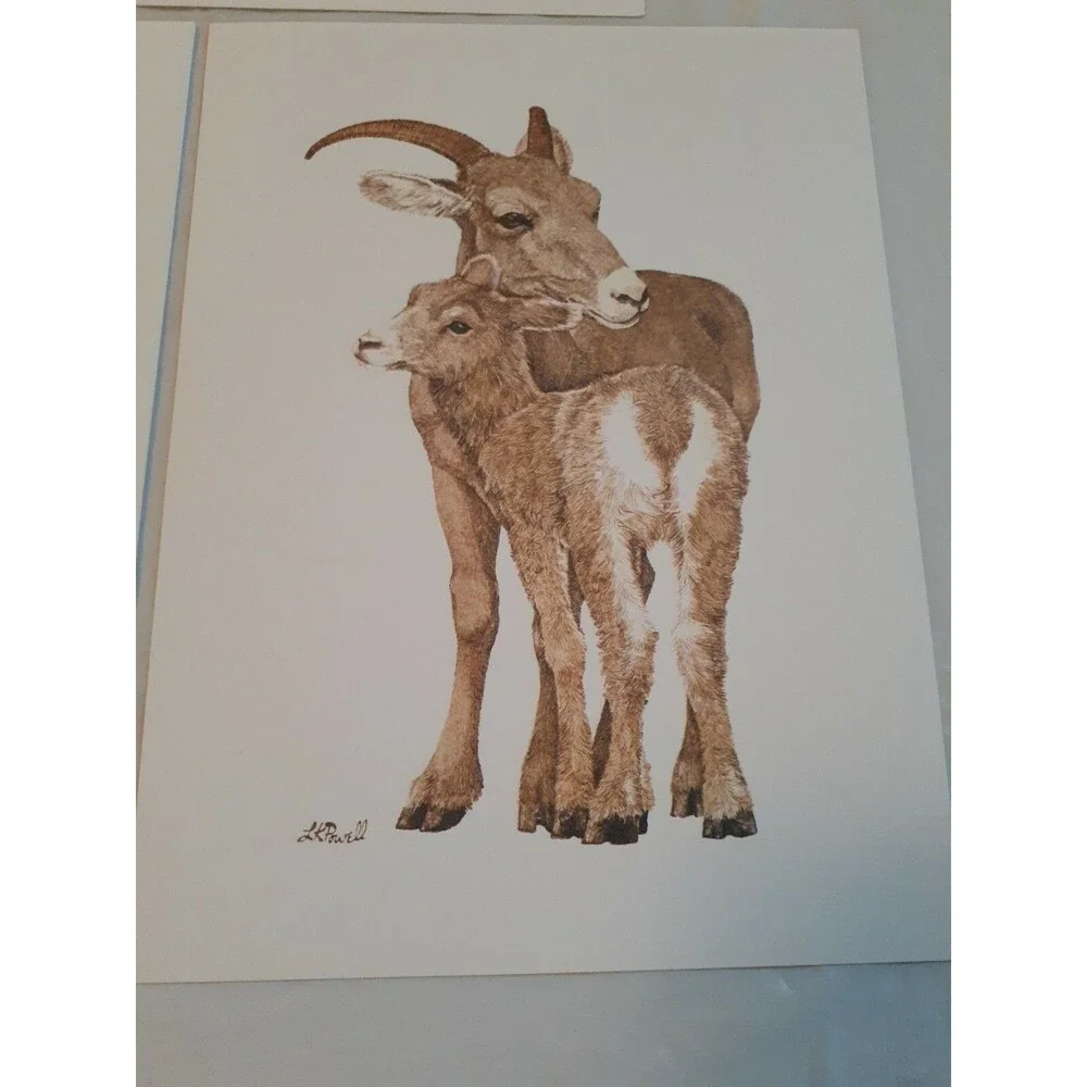 Lot Of 3 Nature Animal Picture Cards Crafts Art 5.75 x 7.75 Blank Back
